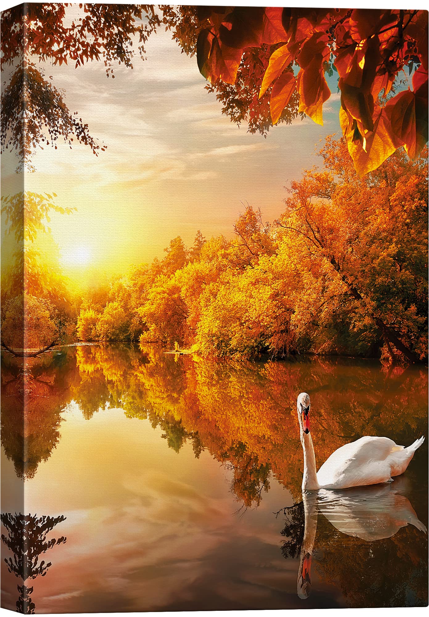 Amazon.com: SIGNWIN Canvas Print Wall Art Swan in Autumn Fall